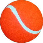 Tennis Ball